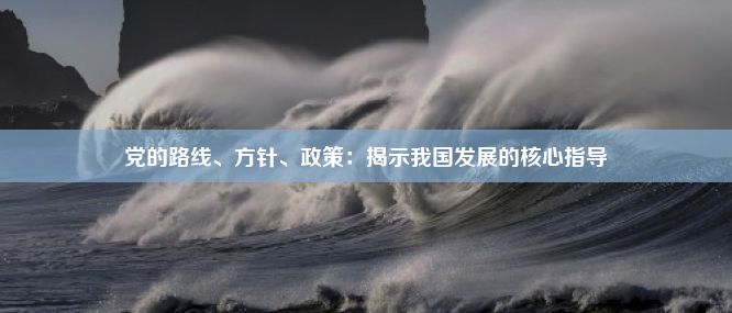 党的路线、方针、政策：揭示我国发展的核心指导