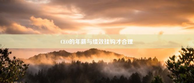 CEO的年薪与绩效挂钩才合理