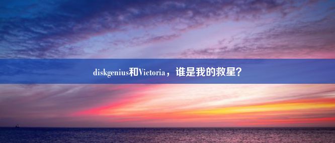 diskgenius和Victoria，谁是我的救星？