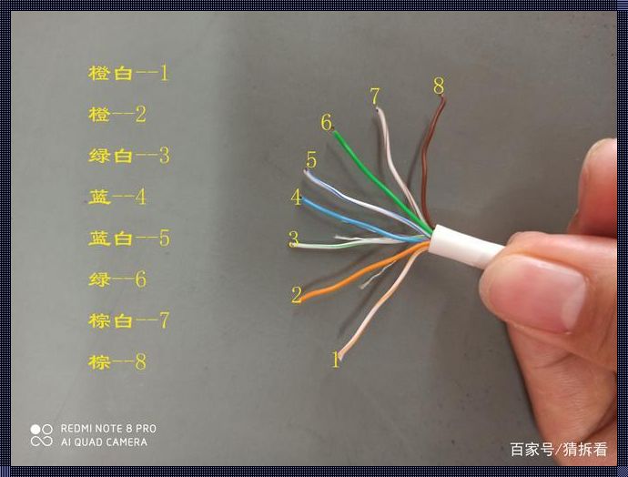 网线排列的艺术与科学