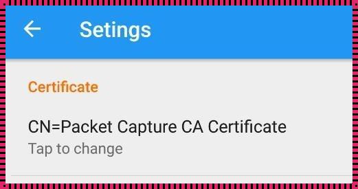 探寻PacketCapture证书之谜，揭秘网络安全的核心