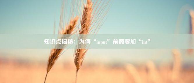 知识点揭秘：为何“input”前面要加“int”