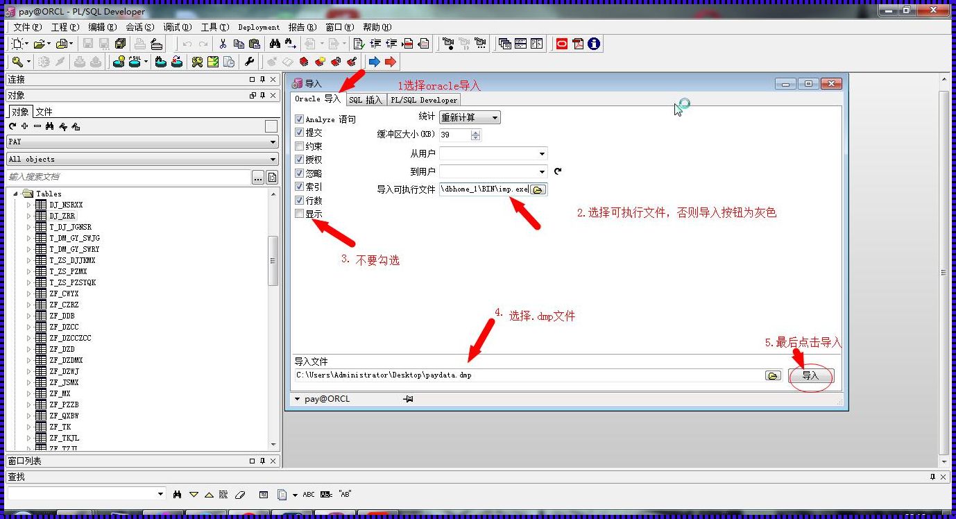 探索Oracle的神秘世界：dmp文件导入之旅