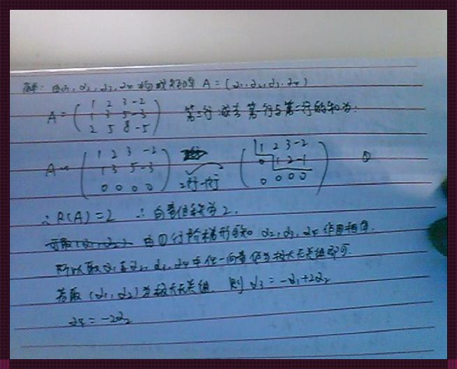 列向量组的秩：揭开数据世界的奥秘