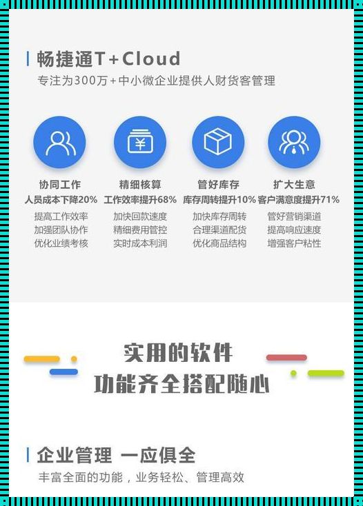 与畅捷通T官网携手，书写财务管理新篇章