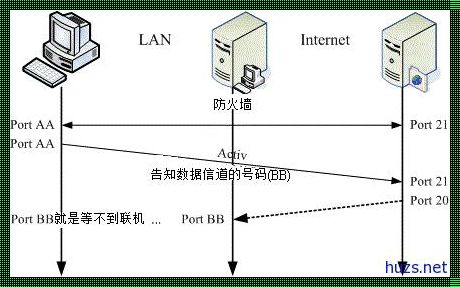 打造局域网FTP服务器：一份全面指南