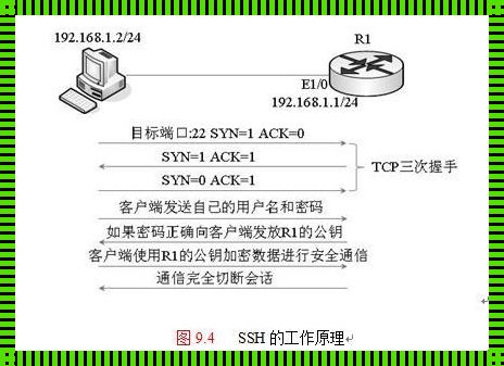 揭开SSH协议的神秘面纱：探索网络世界的安全守护者