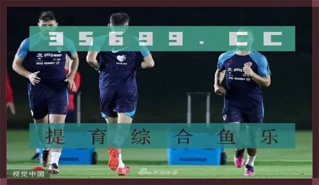 FIFA23中的金玟哉：亚洲冉冉升起的新星