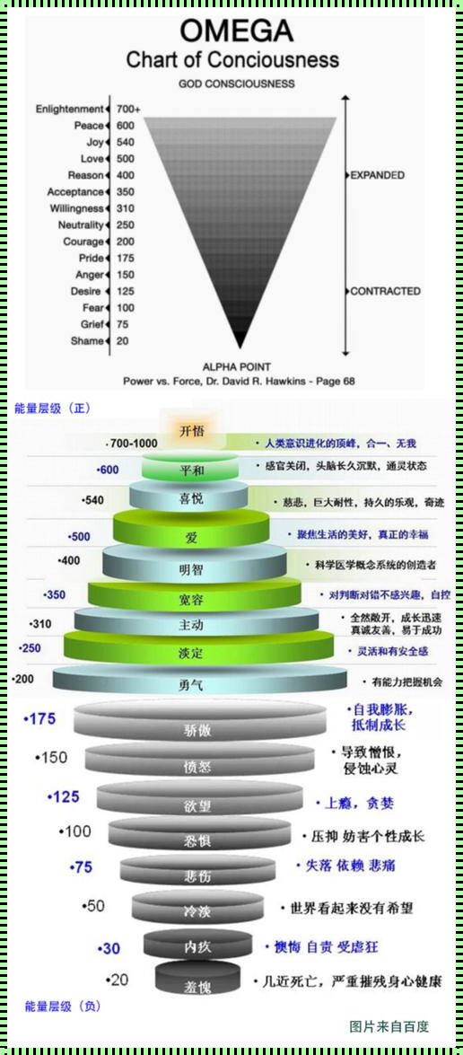 探索你的能量级别：了解并提升你的生活动力