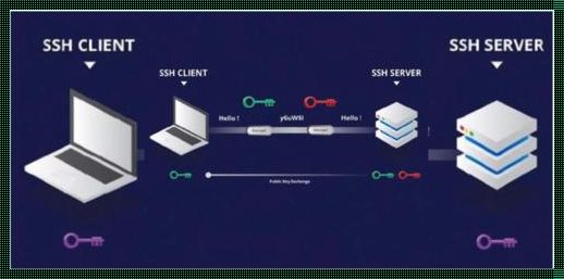 SSH密钥守护者：解开远程访问之谜
