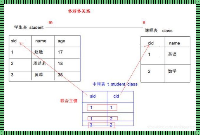 《解锁数据库外键的奥秘：构建数据关系的智慧》