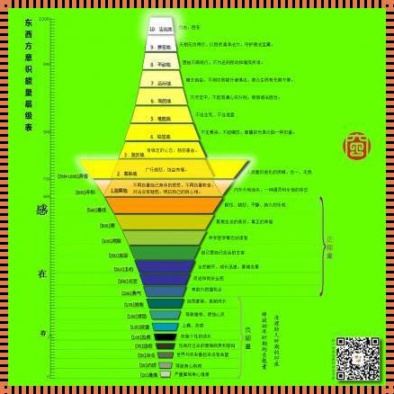 物质能量意识是指什么：一个揭示世界奥秘的统一视角