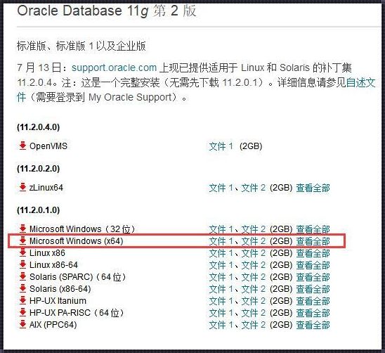 如何查看Oracle版本：一个数据库管理员的实用指南