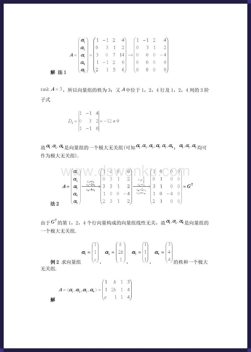 向量空间的最大无关组：揭示隐藏在向量世界的新视角