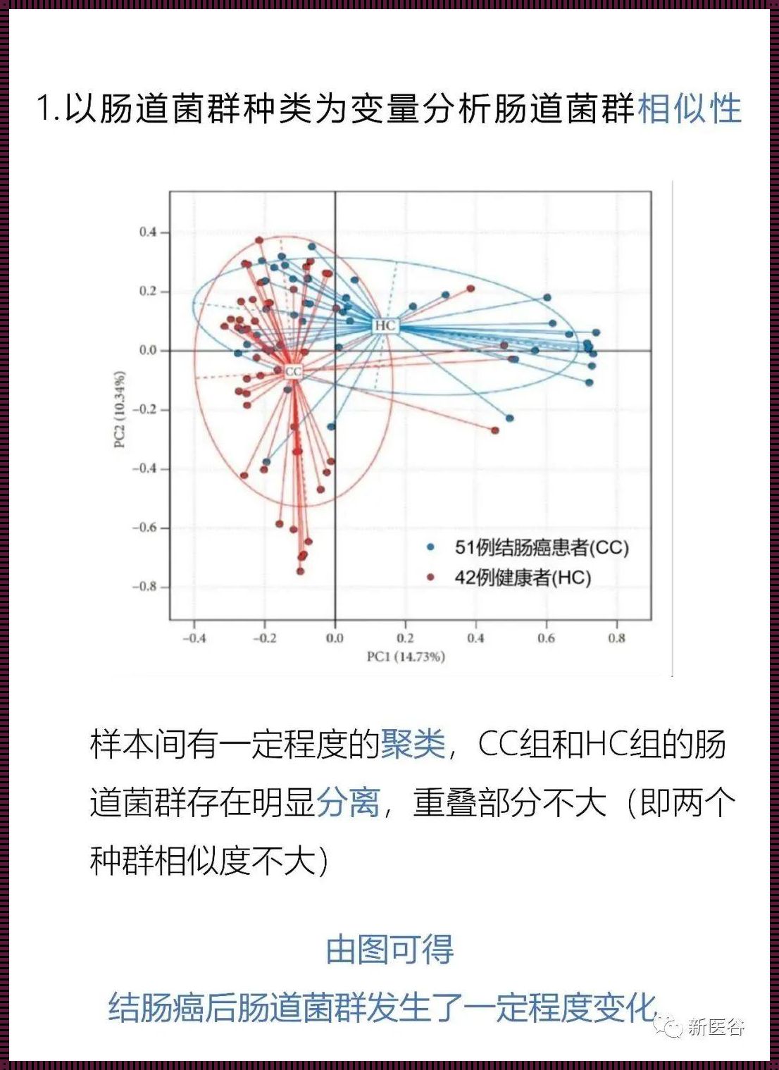 PCA带箭头图结果分析：揭示数据背后的故事