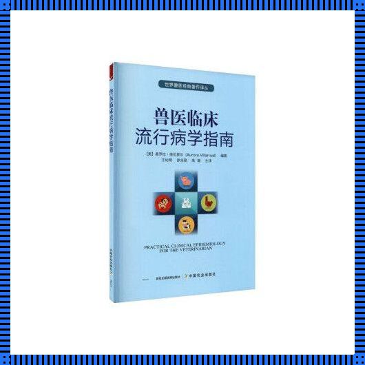 Aurora翻译中文：开启语言交流与文化融合之门