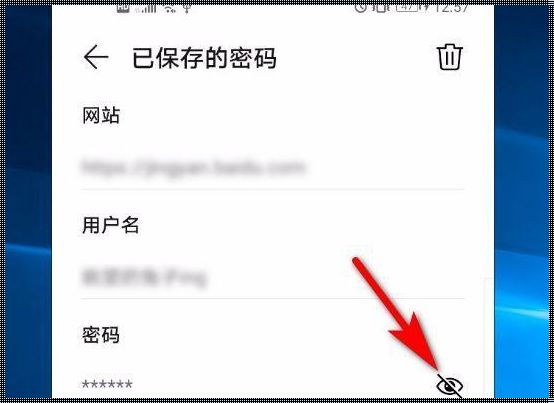 手机上保存的账号密码怎么查看