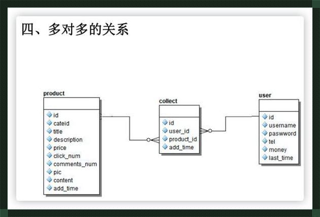 数据库一对多关系怎么创建：从基础到深入