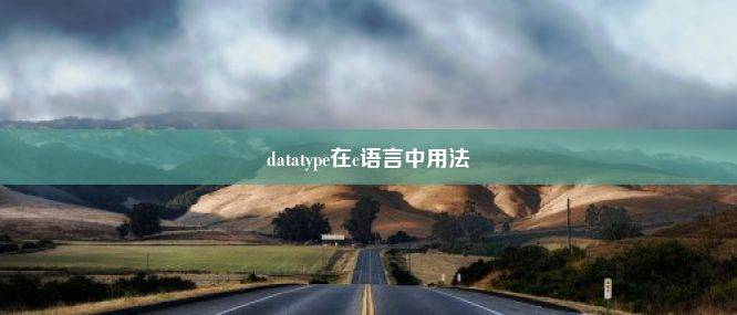 datatype在c语言中用法