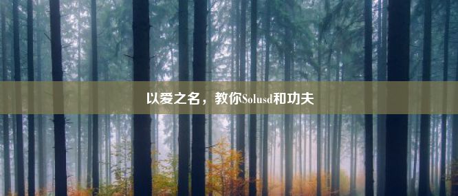 以爱之名，教你Solusd和功夫