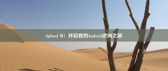 Apktool M：开启我的Android逆向之旅