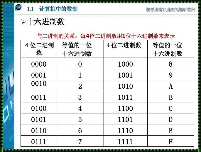 负数对应的二进制数：揭开神秘面纱