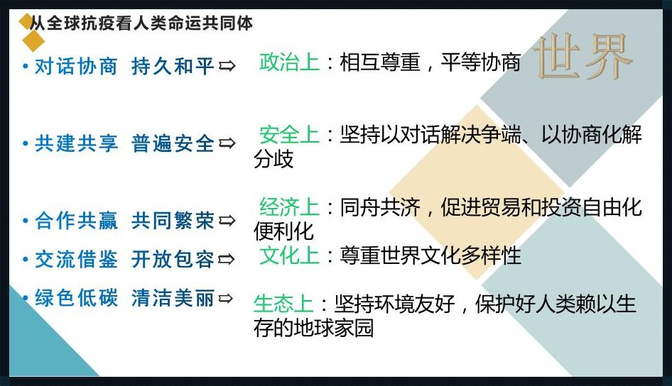 构建人类命运共同体：共同面对挑战，共享美好未来