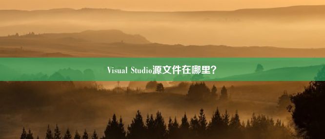 Visual Studio源文件在哪里？