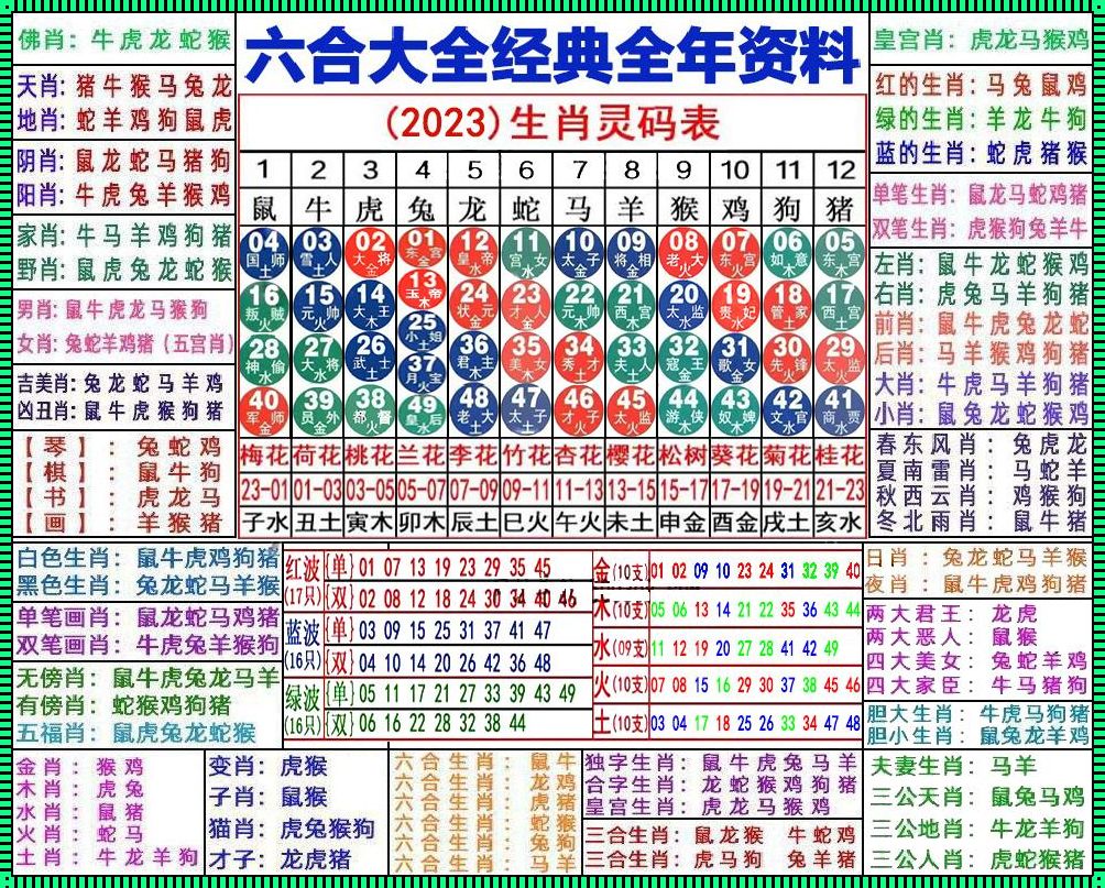 《王中王六肖中特六肖必中：编程教育中的再造思维》