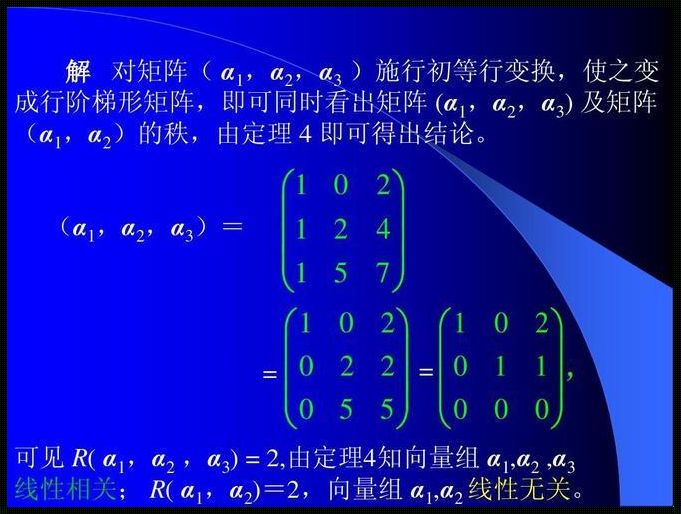 探秘多维空间：n维向量的奇幻之旅