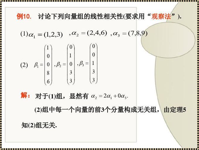 公平视角下的极大线性无关组选取原则探究