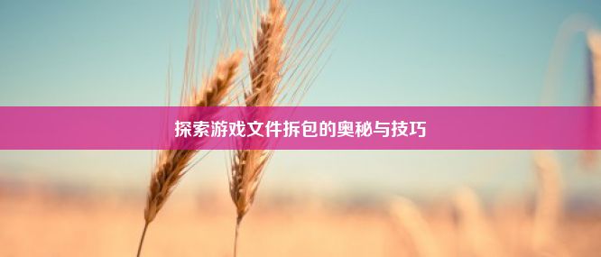 探索游戏文件拆包的奥秘与技巧