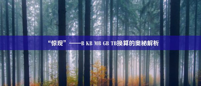 “惊现”——B KB MB GB TB换算的奥秘解析