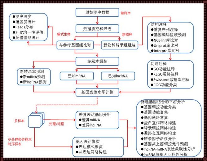 探索数据分析的六大步骤：解锁数据世界的秘密