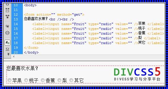 探讨HTML单选按钮标签的奥秘与魅力