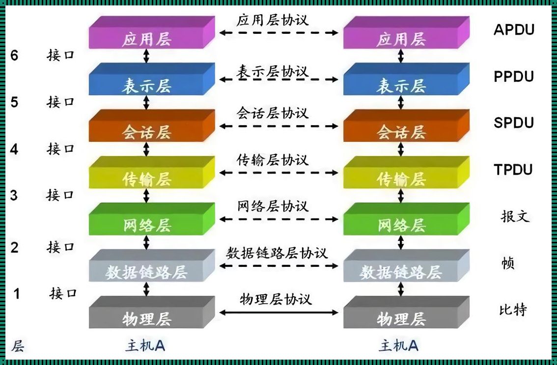 ISO参考模型：惊现