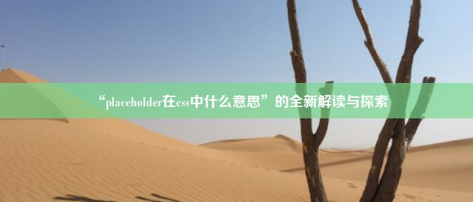 “placeholder在css中什么意思”的全新解读与探索