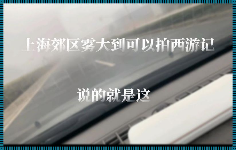 上海郊区的雾大到可拍西游记：探寻雾都神韵，拍摄人间仙境