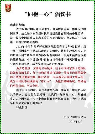 中国男足购票：科技改变观赛方式