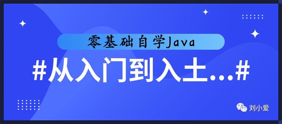 如何自学Java编程：斩获编程技能，驰骋IT江湖