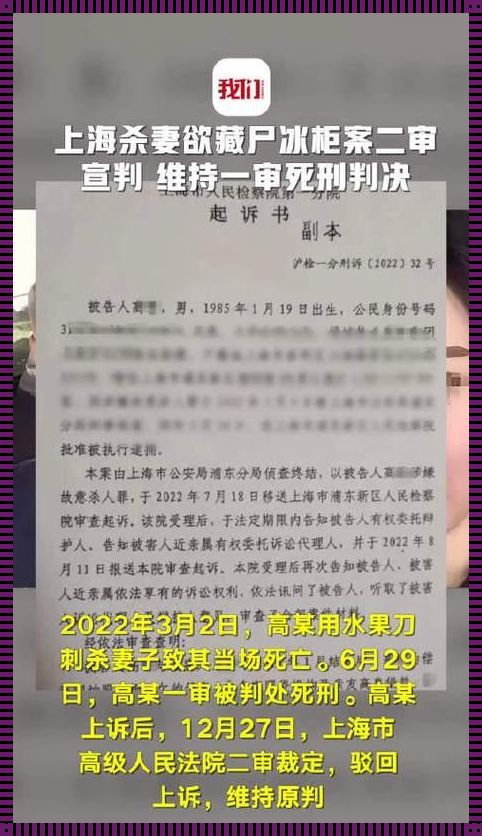 杀妻欲藏尸冰柜案二审维持死刑：人性的剖析与反思