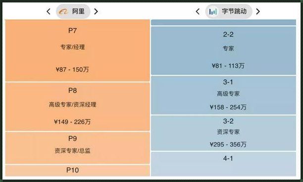 倒计时：揭秘阿里P9的年龄之谜