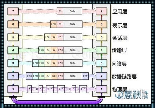 arp数据包：网络世界的小精灵