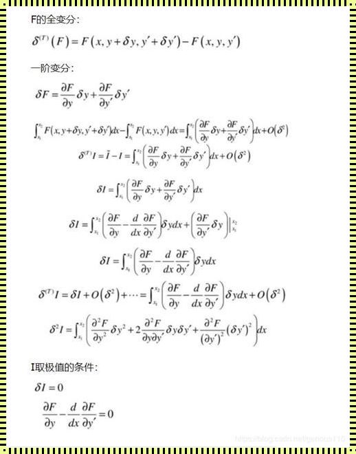 拉格朗日变分法：探寻自然与科学的奥秘