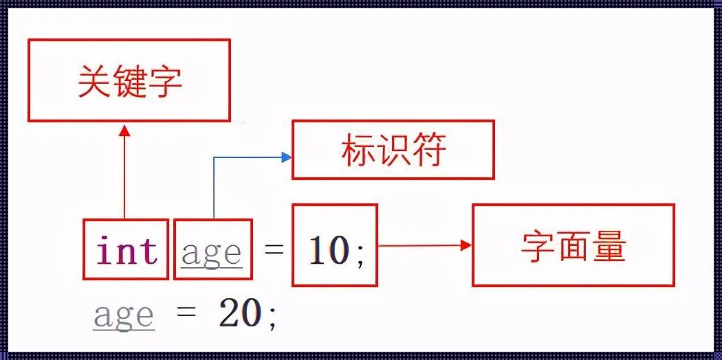 标识符用在哪里——深入探讨标识符在空间中的应用与价值