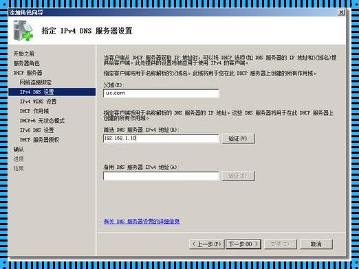 首选DNS服务器地址：网络世界的导航仪