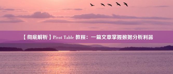 【彻底解析】Pivot Table 教程：一篇文章掌握数据分析利器