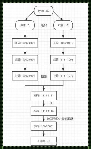 二进制算法步骤：解密数字世界的密码