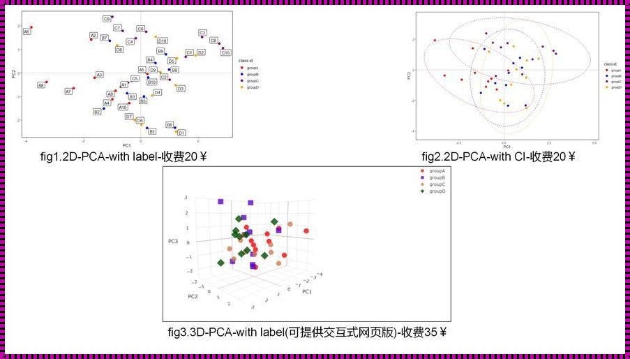 PCA差异性分析：局面解析与策略探讨