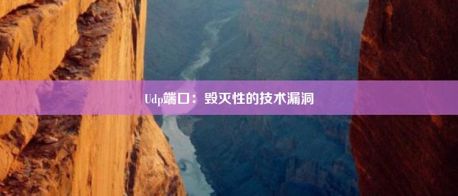 Udp端口：毁灭性的技术漏洞